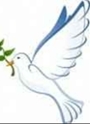 Our Lady of Peace Parrish Picnic 