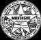 Qualify Montague Police